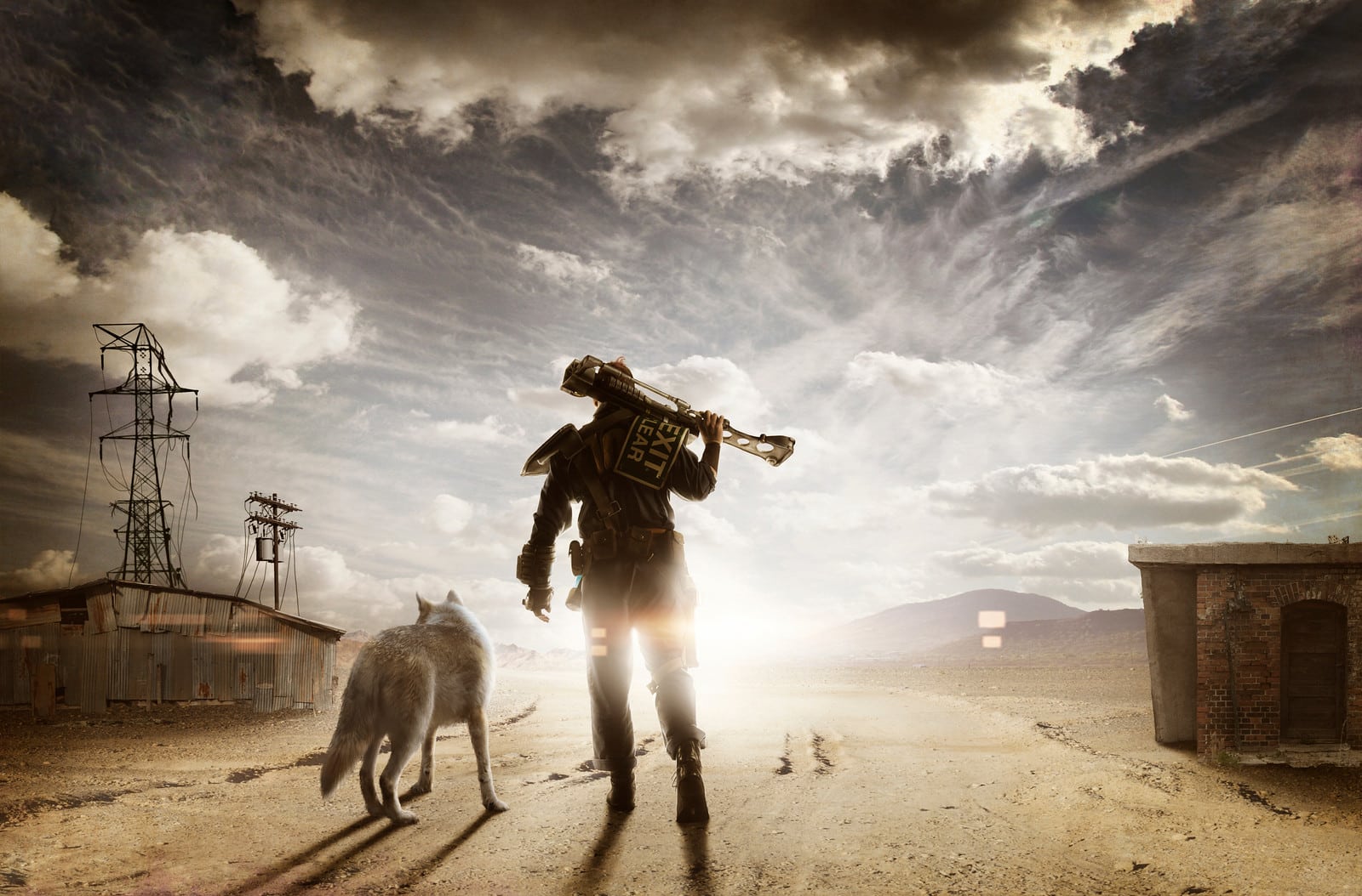 Fallout 4 одинокий странник с собакой фото 2