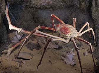 Giant enemy crab (not a Genji 2 PS3 screenshot)