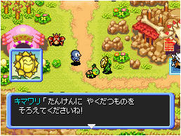 Pokemon Mystery Dungeon 2 DS screenshot
