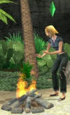 The Sims 2: Castaway warming fire