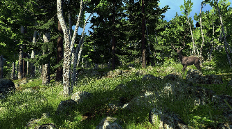 Nice vegetation in this The Hunter Screenshot