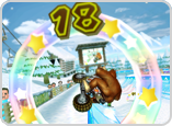 Mario Kart Wii tournament 16 screenshot