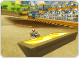 Mario Kart Wii tournament 17 screenshot