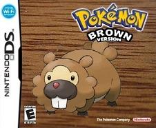 Pokemon Brown fake DS box