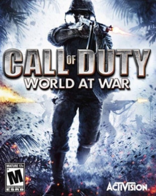 Call of Duty: World At War on PC