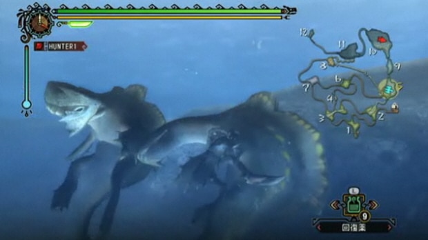 Monster Hunter Tri Wii screenshot. Releasing in America & Europe in 2010