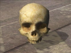 Halo 3 ODST skull