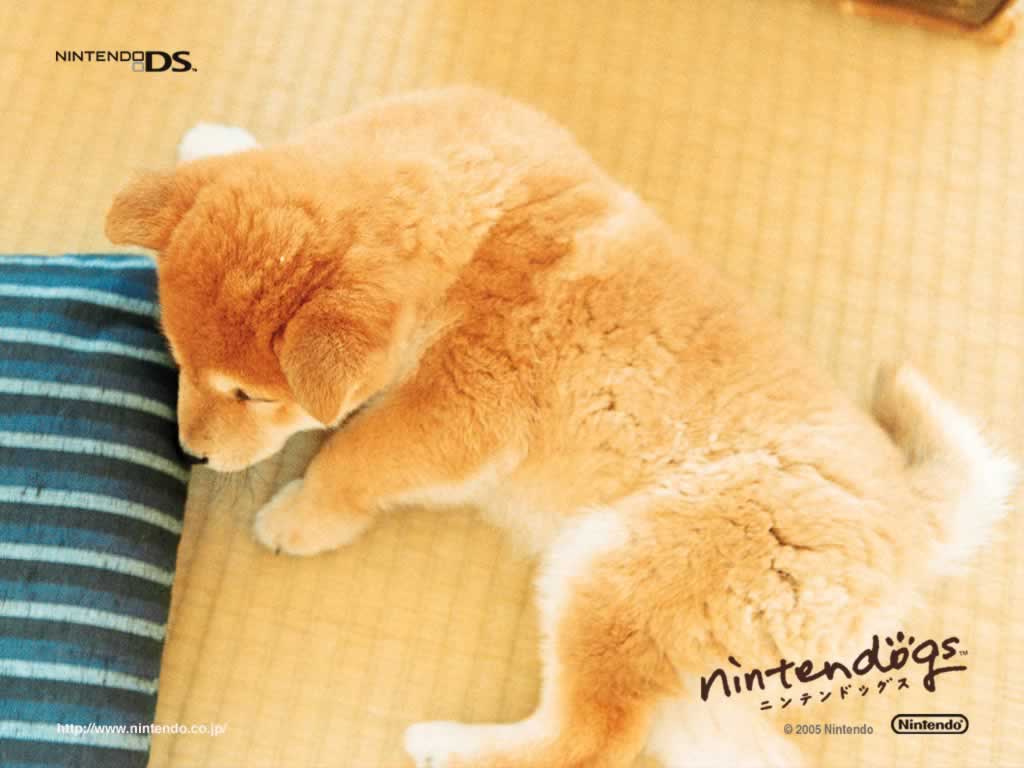 game like nintendogs for pc