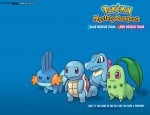 Pokemon Mystery Dungeon 1 Wallpaper - Blue-Red Rescue Team