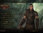 Dragon Age Origins Wallpaper 4