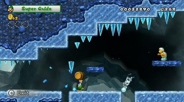 New Super Mario Bros Wii ice level screenshot