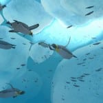 Endless Ocean 2 wallpaper Penguins