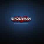 Spider-Man: Shattered Dimensions wallpaper logo