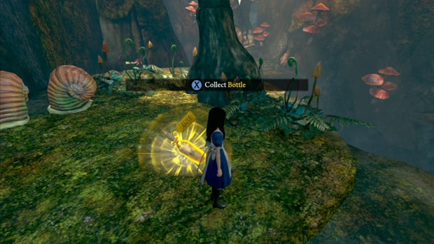 Collecting Bottles in Alice Madness Returns