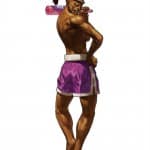 King of Fighters XIII Hwa Jai Character Artwork