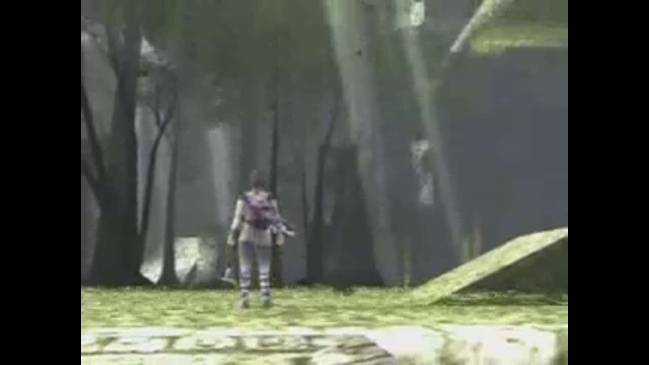 Shadow of the Colossus Secret Garden Screenshot