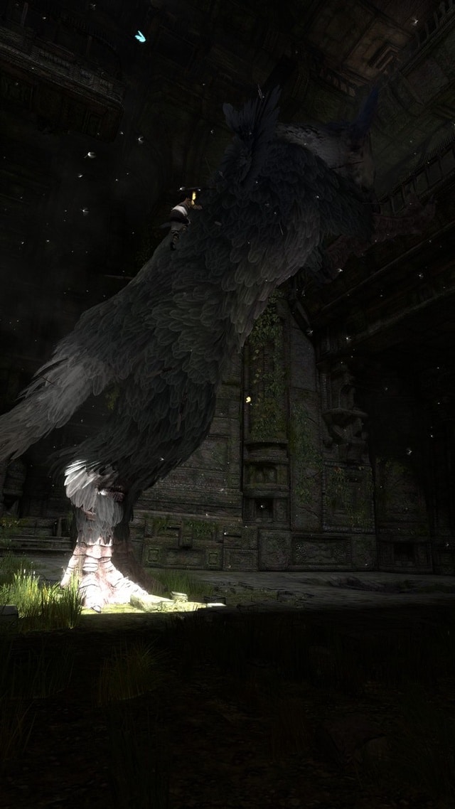 The Last Guardian Screenshot -12