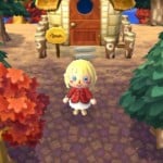 Animal Crossing 3DS Screenshot - Seasons and Time Will Flow With Real Life Days