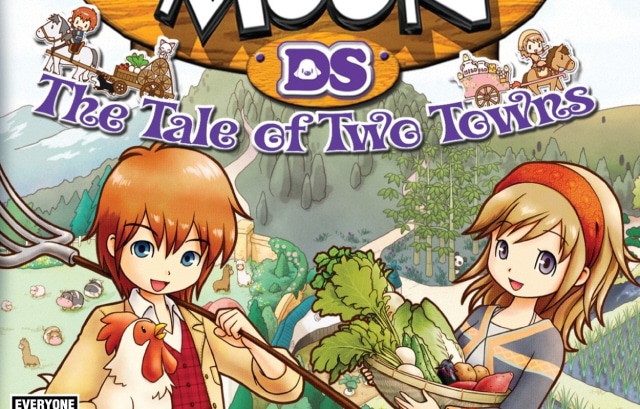 harvest moon tale of two towns big bed