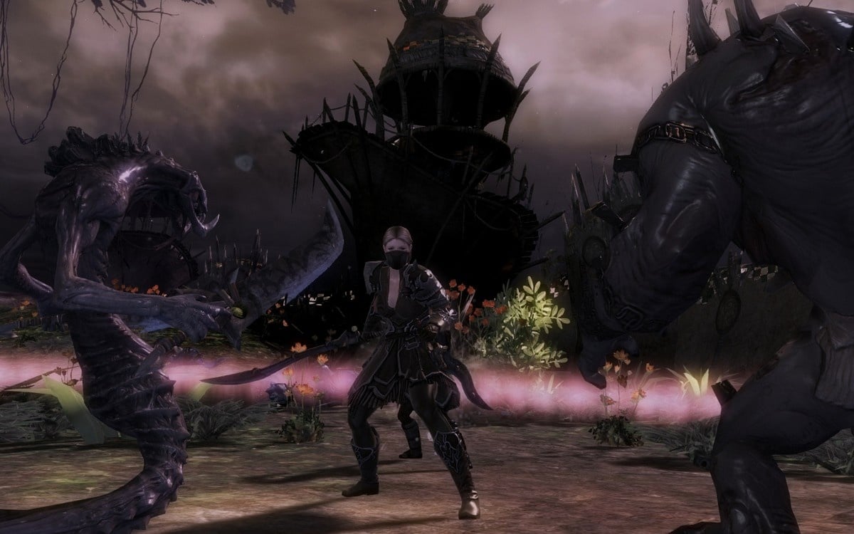 Guild Wars 2 Screenshot -24