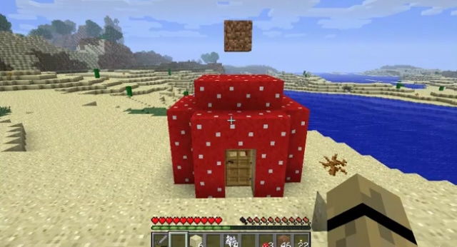 Grown House In Minecraft