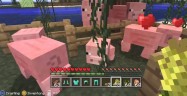 How To Breed Animals In Minecraft