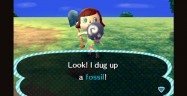 Animal Crossing New Leaf Fossil List