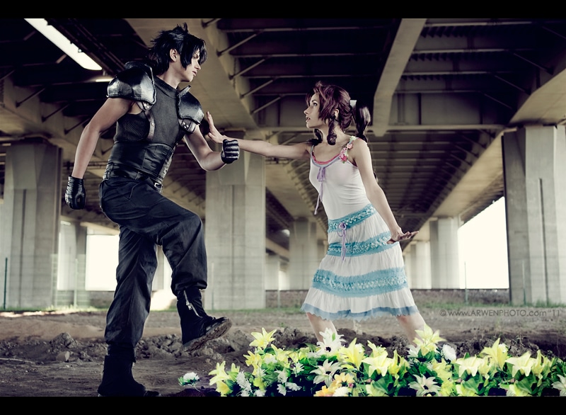Aerith Zack Character Cosplay