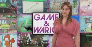 Game & Wario Review