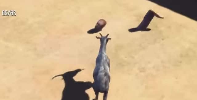 Goat Simulator Glitches