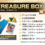 Hyrule Warriors Japanese Limited Edition Banner