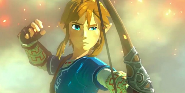 link-wii-u-zelda-2015-close-up-646x325.jpg