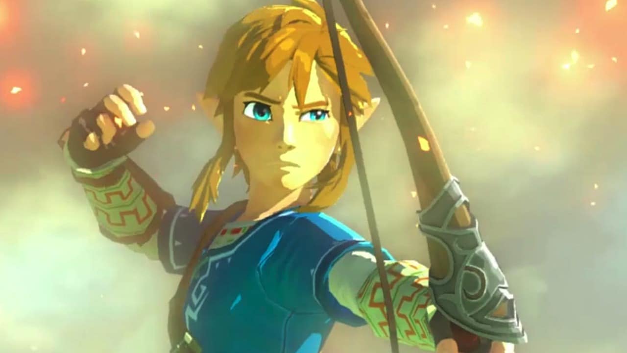 Link Wii U Zelda 2015 Close Up