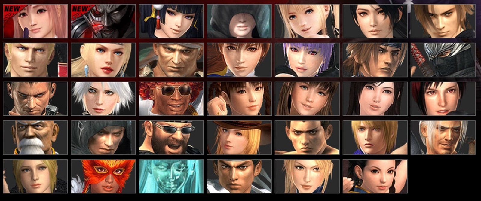 Dead or Alive 5: Last Round Roster Characters Artwork