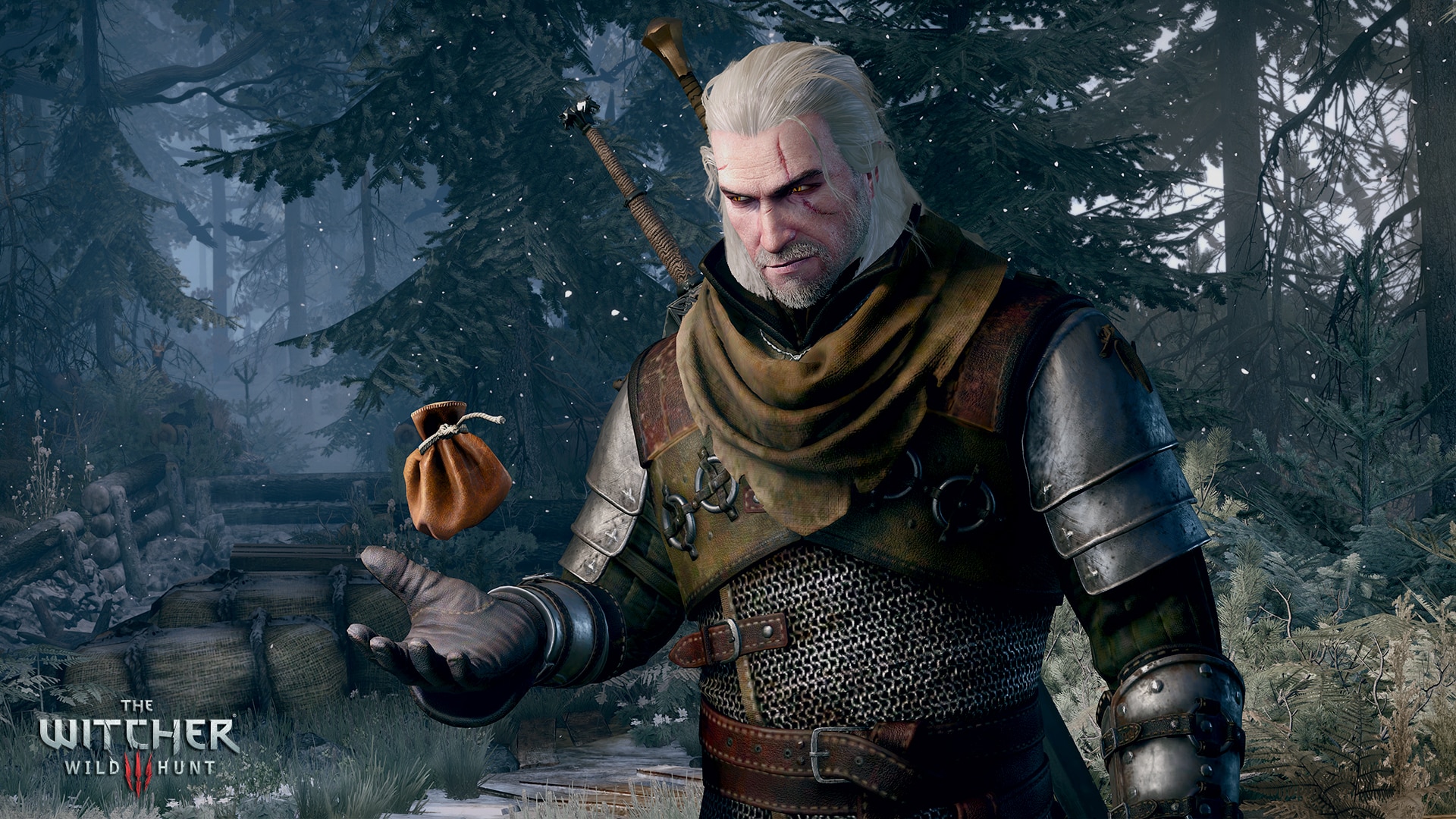Witcher 3 Gameplay Screenshot Payment O Coins PC Xbox One PS4