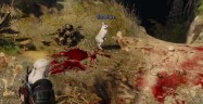 The Witcher 3 Easter Eggs