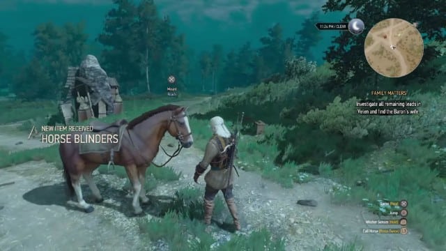 The Witcher 3: How To Level Up Your Horse Roach
