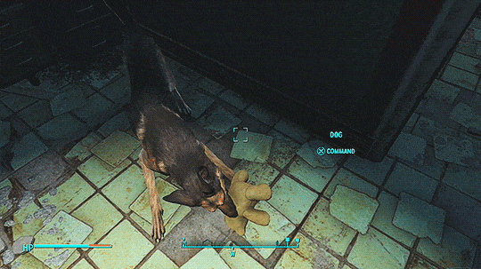 Fallout 4 Dogmeat Teddy Bear excitement