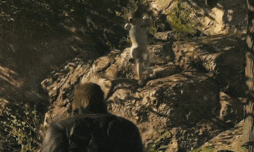 Metal Gear Solid V Dog Catcher GIF Animation
