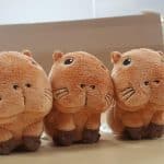 Story of Seasons: Trio of Towns Capybara pre-order plushie photo