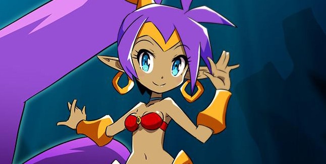 Shantae 5 Banner Small