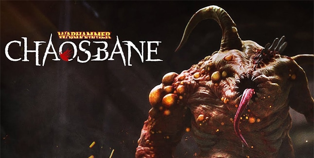 Warhammer Chaosbane Banner