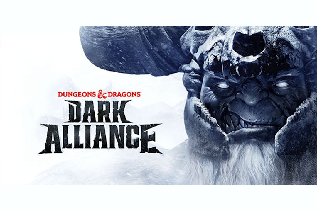 Dungeons and Dragons: Dark Alliance Collectibles