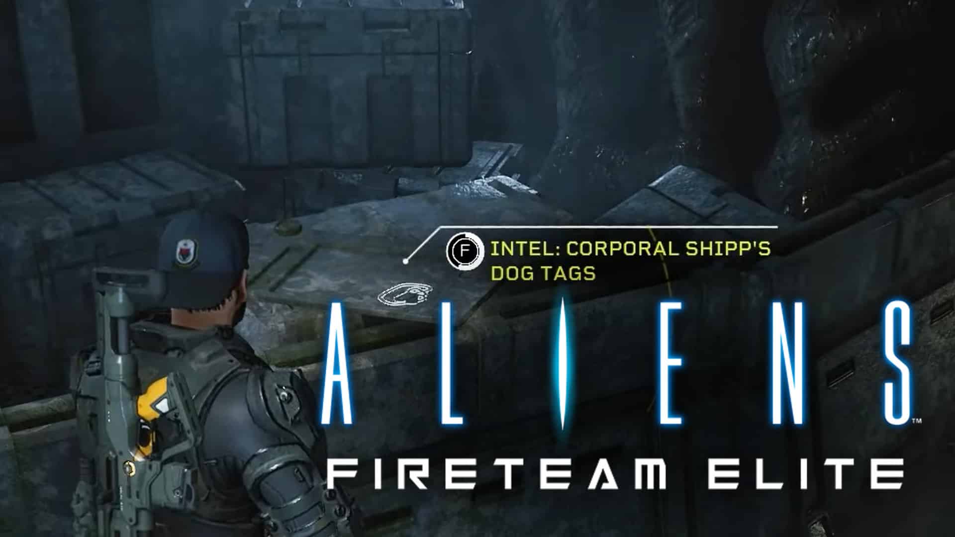 Aliens: Fireteam Elite Collectibles