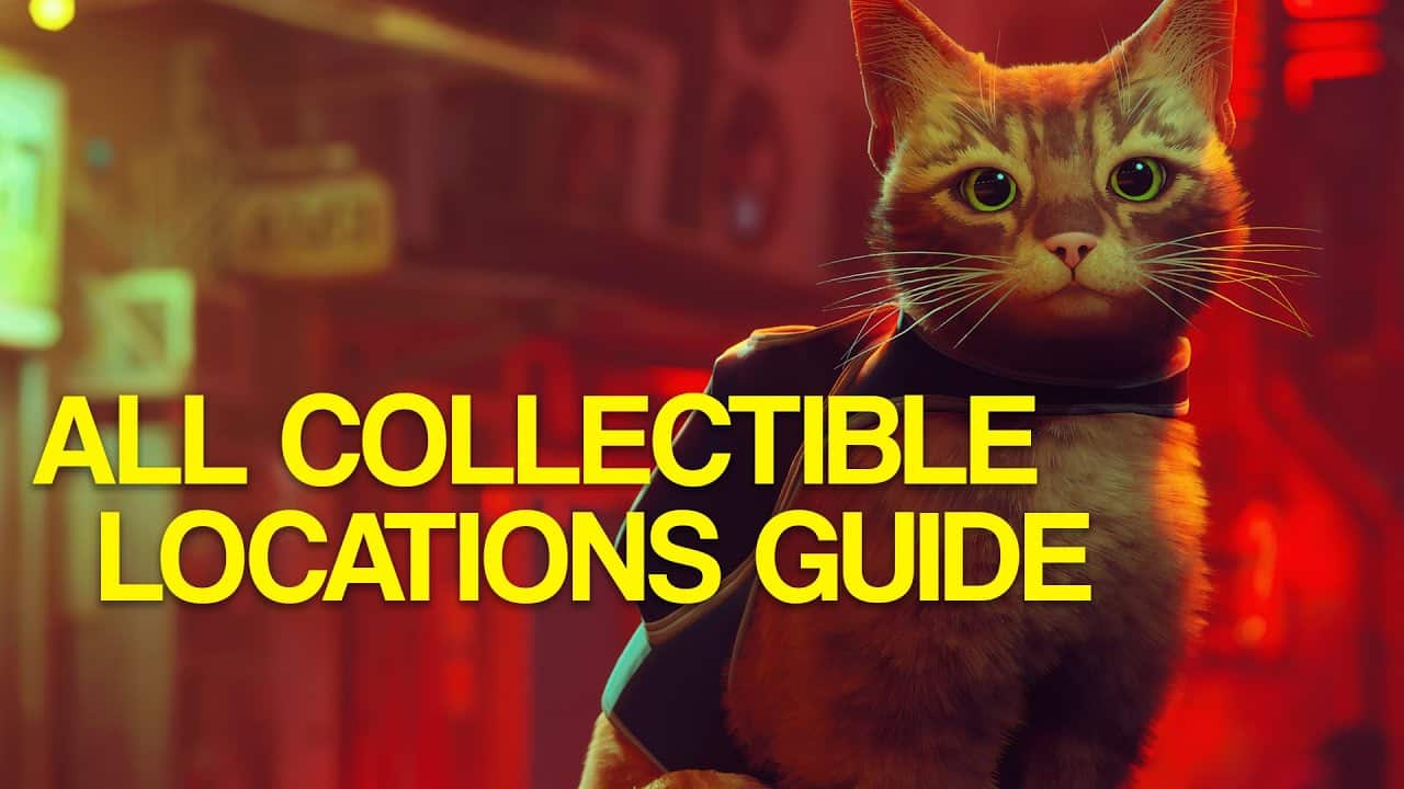 Stray Collectibles