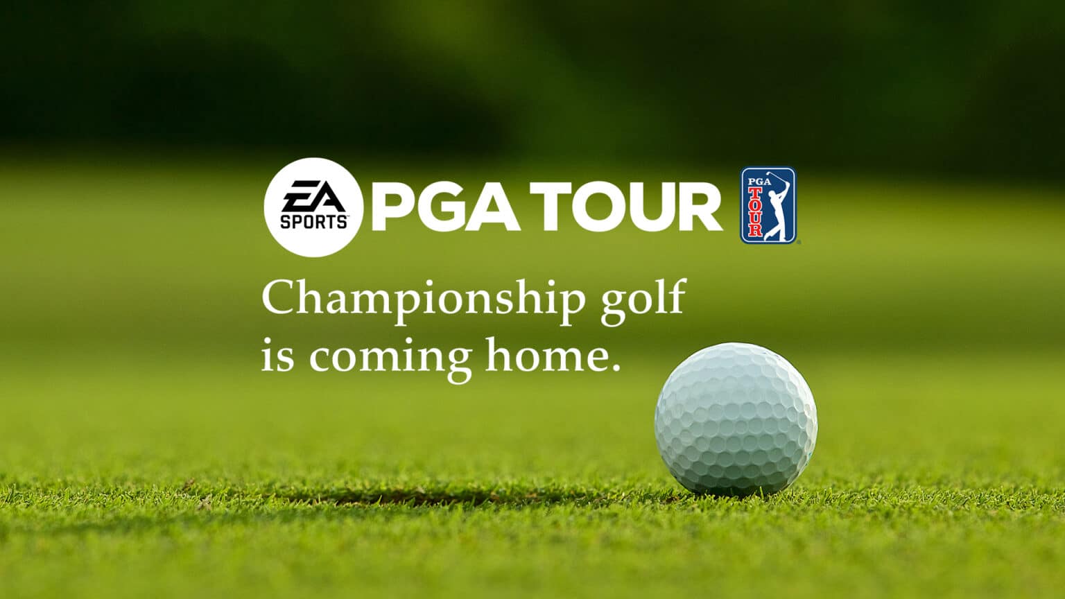 EA Sports PGA Tour Cheats Video Games Blogger