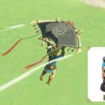 Zelda: Breath of the Wild Link Amiibo Paraglider Skin Reward